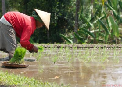 Reisereportage in Bali