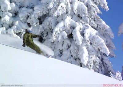 Powder Turn vor verscheiten Tannen. Publiziert beim SSBS Lernmittel