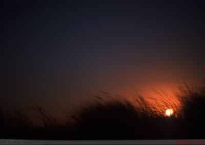 Sonnenuntergang in der Düne von Algarve