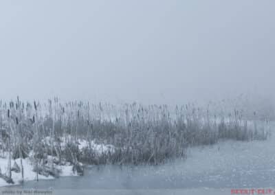 Nebel auf dem Sihlsee